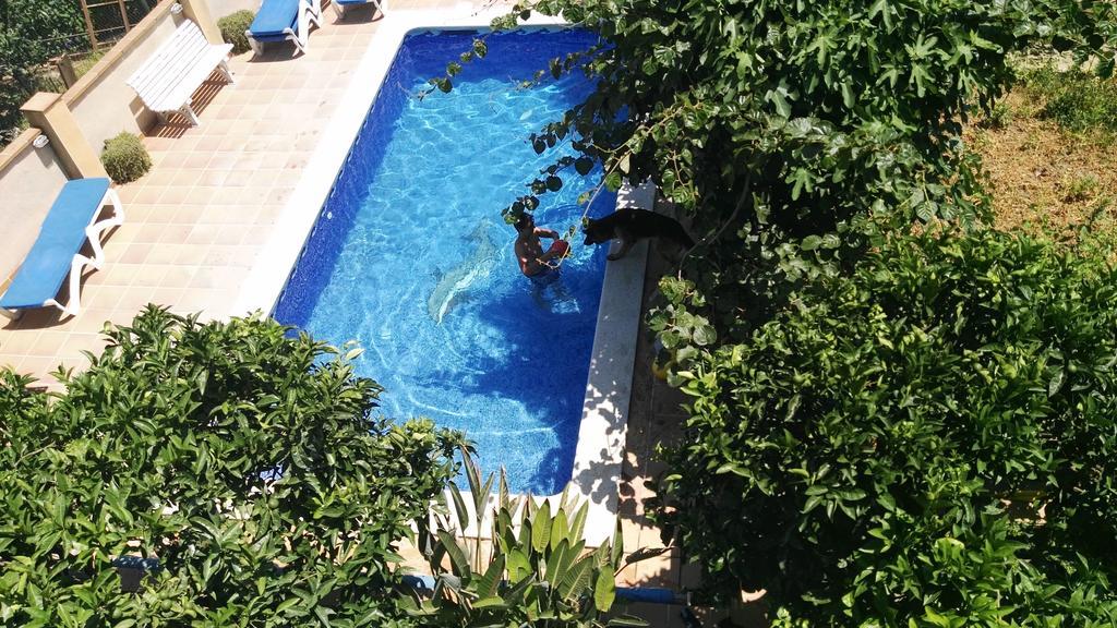 Apartamento Mar Y Montana Argentona Kültér fotó